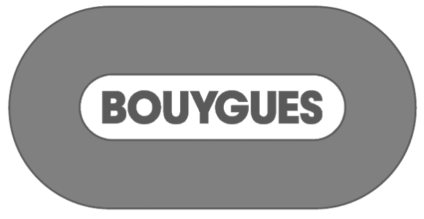 Bouygues icon